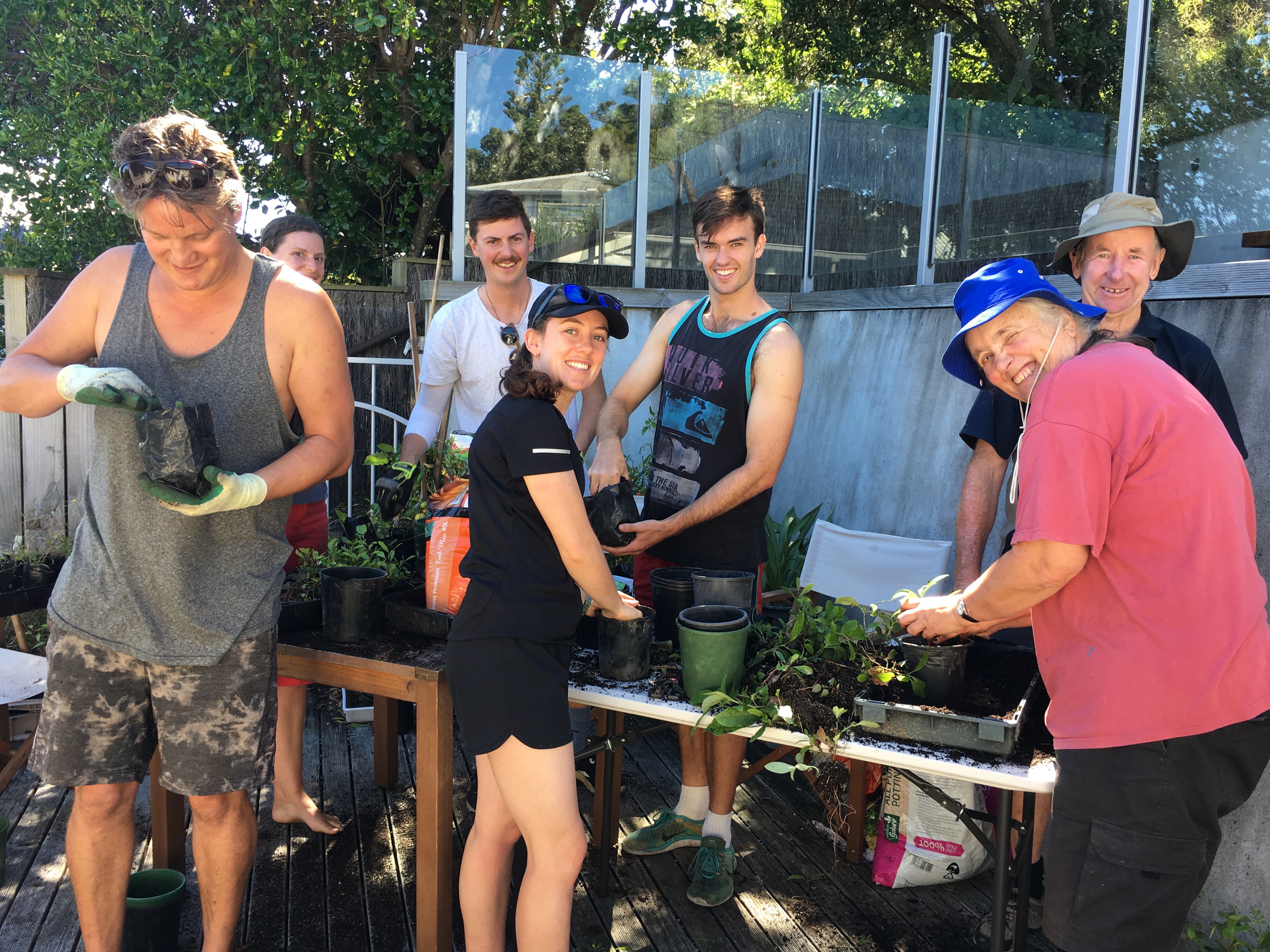 Re potting seedlings