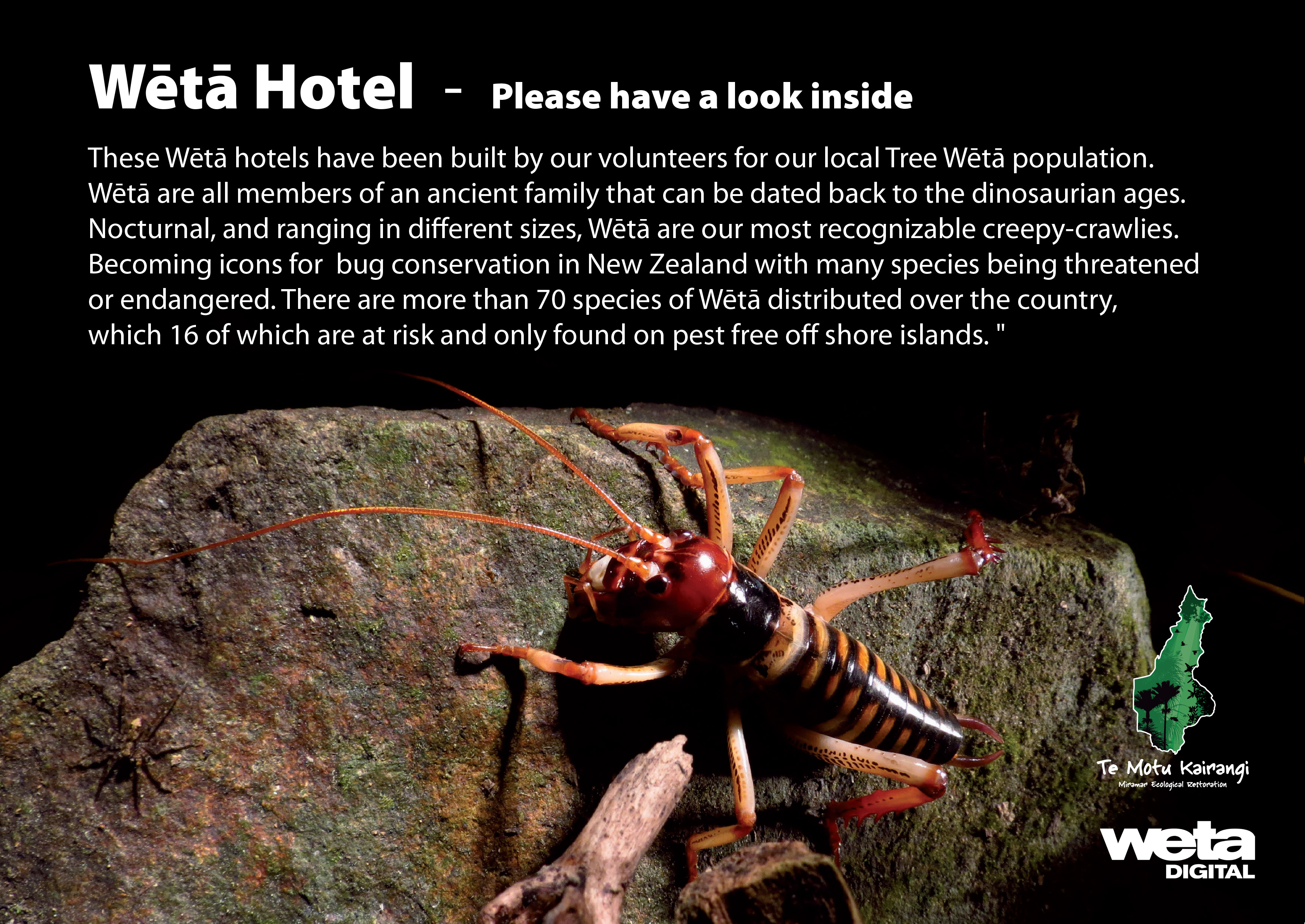 Signs for Weta hotels